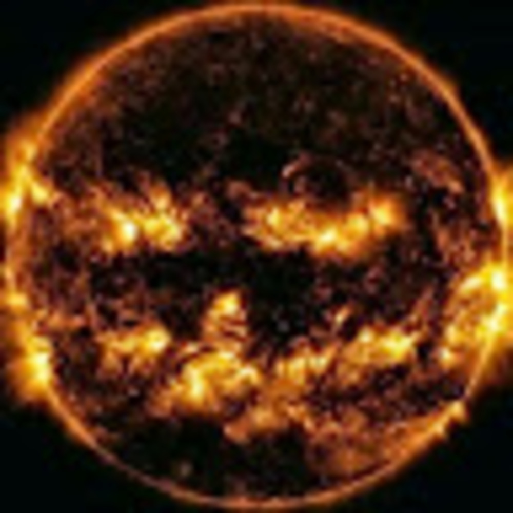 Meet your Posher, Tim